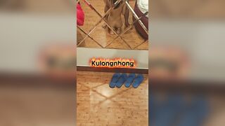bé ghệ dâm em rên to quá khiến phòng bên ghõ cửa phản ánh - phần 1