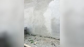 Hoa-tuylip  16/08/2026 2