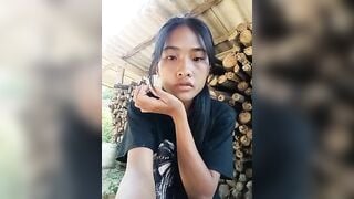 Hoa-tuylip  17/08/2026
