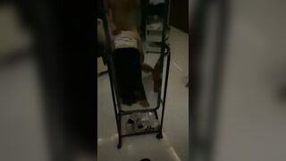 Bắt e Sinh viên GLE Làm thú cưng 4 chân, Doggy Lút cán Trước gương djt nhau rên rỉ