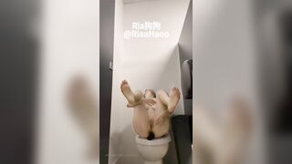 Con đĩ slave dâm vào nvs công cộng ngồi tát mặt cắm sextoy vào đít quay vid móc lồn