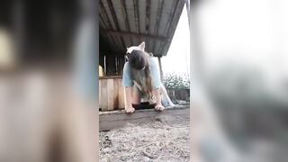 Cô chủ nghịch cho tý thì bị địt