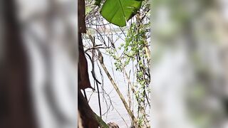 Em gái học sinh cấp 3 mới lớn trốn học dẫn nhau ra bụi chuối bờ sông địt nhau