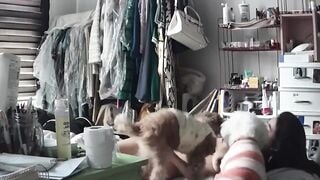 Em gái 19 tuổi ngủ trần truồng nứng lồn thì cầm cặc chó để sục đỡ nứng.