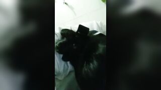Học sinh bây giờ dâm thế, người yêu bảo liếm bồn cầu cũng liếm luôn
