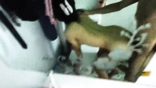 loli mới lớn sống thử cùng người yêu và cái kết - phần 3