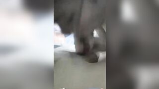 Xin mãi con bạn thân kính cận mới bú cu cho