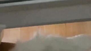 Phương Mai 2k9 loli mỗi tội hơi lép - phần 2