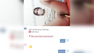 Minichat dâm