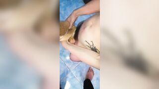 Chơi chó 3