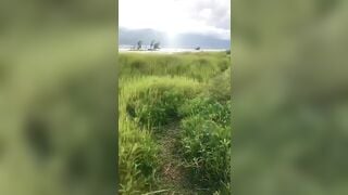 Rủ em ra đồng bú cu cho mát