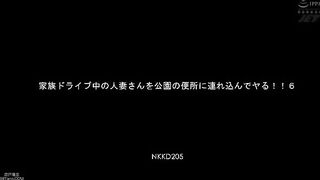 Japanese Code *N*K*K*D*-*2*0*5*
