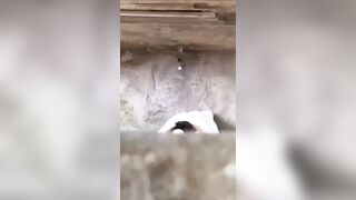 cặp đôi học sinh lén lút bú cu đụ nhau sau trường học