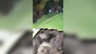 Đụ chị gái lạ mặt say xỉn ở bụi chuối cảm giác đụ lồn lạ nó sướng hơn bình thường.