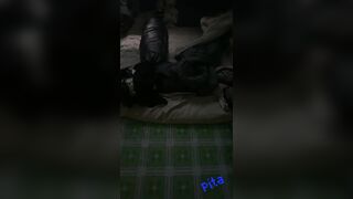 Mây mưa với con e, nhưng lại ham hố con chị