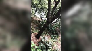 Những đoạn clip train e loli mình dây răng thỏ làm đĩ nghiện bú cu móc lồn #2