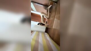 Loli show hàng thủ dâm trước gương