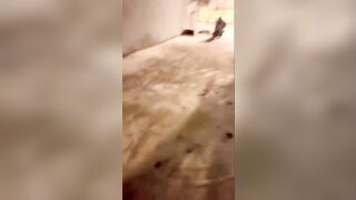 Bắt chị họ mút cu từ ngoài đường đến phòng ngủ