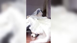 Siêu phẩm e mình dây tq thích nong lồn rộng ra bằng sextoy khủng,gu lồn to vô đây #1