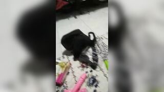 Hai vợ chồng live kể chuyện sex