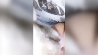 Để chó liếm lol sướng điên