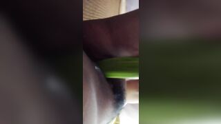 Vẫn chưa có dưa leo mới:3