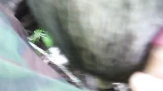 I am the pig 2