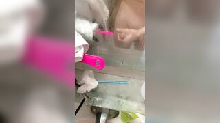 máy sục
