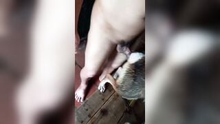 Ông Chú miền bắc địt chó nhà bạn dính lẹo