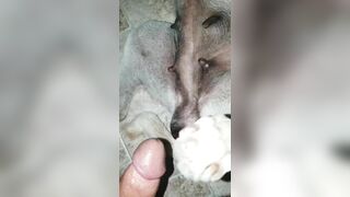 Địt nát lồn em chó mới lớn