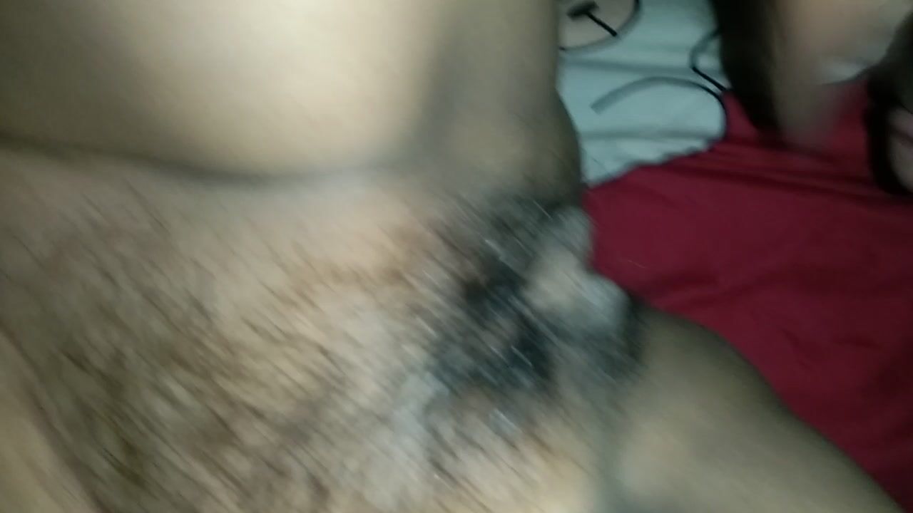 Sưu tầm 254