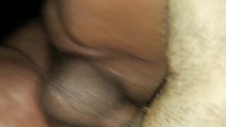 Doggy giống cái Pitbull sướng run cả chân