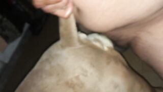 Doggy giống cái Pitbull sướng run cả chân