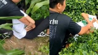 Hiếp dâm em gái tội nghiệp ở đồng ngô