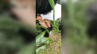 Hiếp dâm em gái tội nghiệp ở đồng ngô