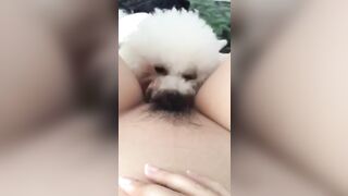 cho chó bú lồn