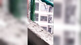 Tao đi phụ hồ cũng đéo để con cặc tao được yên , địt mẹ tụi bây