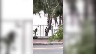 Đang buồn đi dạo bờ biển gặp phải đôi nam nữ này lại buồn hơn