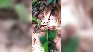 Bé nữ sinh ngoan ngoãn vâng lời lần đầu gặp đã đưa em vào rừng