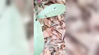 Bé nữ sinh ngoan ngoãn vâng lời lần đầu gặp đã đưa em vào rừng