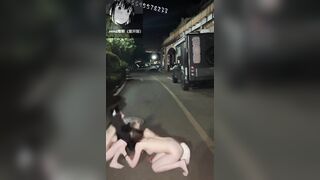 Dẫn 2 con chó cái ra đường đi dạo