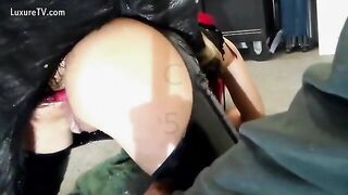Zoophilia lợn nhỏ