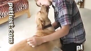 Ko biết tây học ta hay ta học tây mà nó lẹo được mới tài