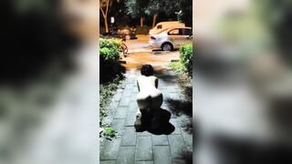 Dắt em gái đi hóng mát thì bị hàng xóm phát hiện