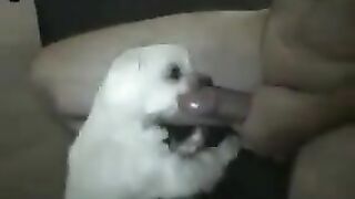 Tí tuổi đã mút chuyên nghiệp rồi
