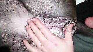 Ơ cái thằng này ....