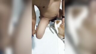 Thú cưng 10