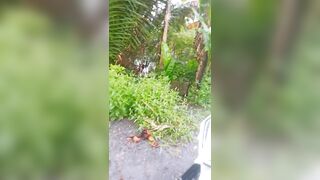 DỪNG XE VÀ NHÉT KU VÀO HỌNG