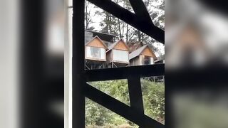 Đà Lạt view này chill thật, thằn lằn bám kính giữa ban ngày