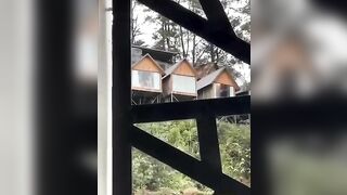 Đà Lạt view này chill thật, thằn lằn bám kính giữa ban ngày